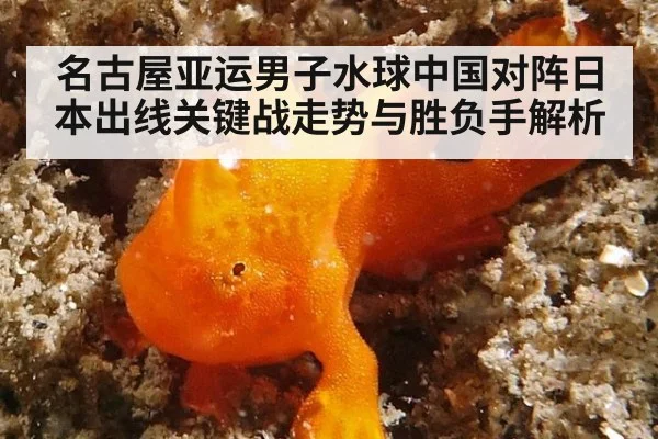 名古屋亚运男子水球中国对阵日本出线关键战走势与胜负手解析